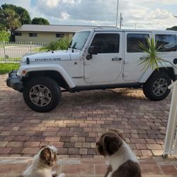 2017 jeep wrangler rubicon oem front bumper 