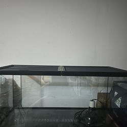 40 Gallon Reptile Tank 