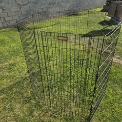 Dog Kennel