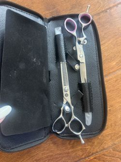 Saki Tomika Hairdressing Shears/Scissors And Thinning Shears With Hair Razor Set