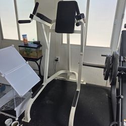 Cybex Vertical Knee/dip