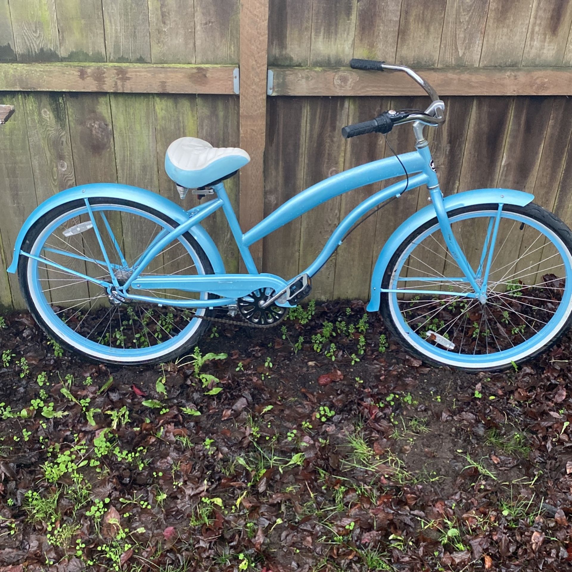 Green line powder blue cruiser bike