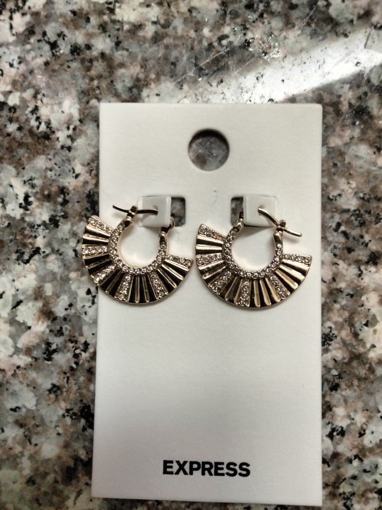 Express Earrings 