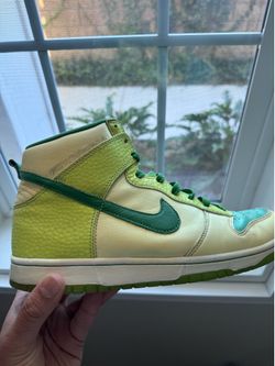 Nike SB glow in the dark dunks 9.5