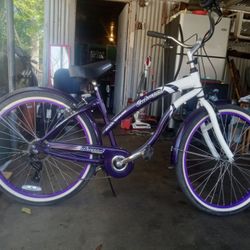 Oakwood cruiserBike