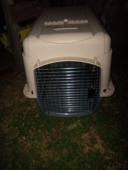 Dog Kennel 