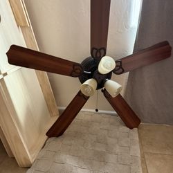 Ceiling Fan 