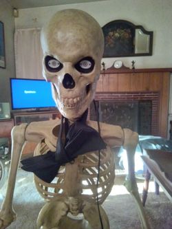 3 Foot  Home Depot Skelly