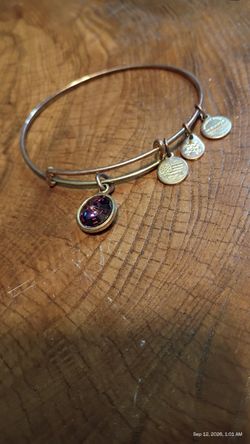 Alex and Ani Energy Bangle Expandable Bracelet February Birthstone Amethyst