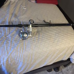 Fishing Reel And Rod