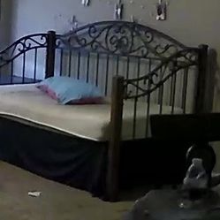 Daybed