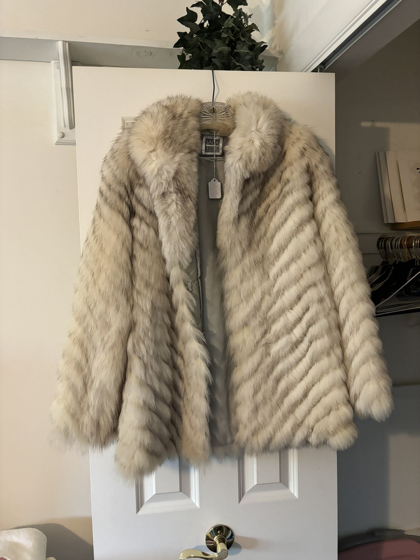 2 Minks Bear And Fox