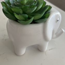 Ceramic Cactus Holder 