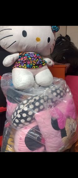 $60 for all big bag full of different items