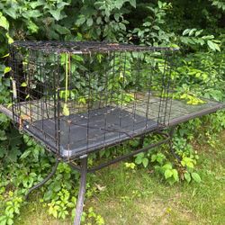  Free dog cage 30x21x19H