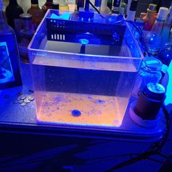 Eshopps Deskmate Aquarium 