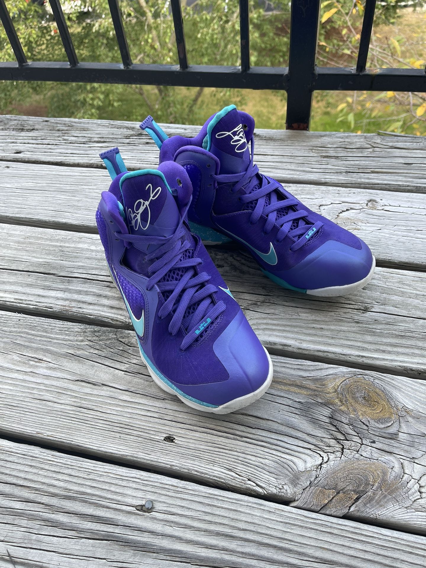 Lebron summit lake hornets deals