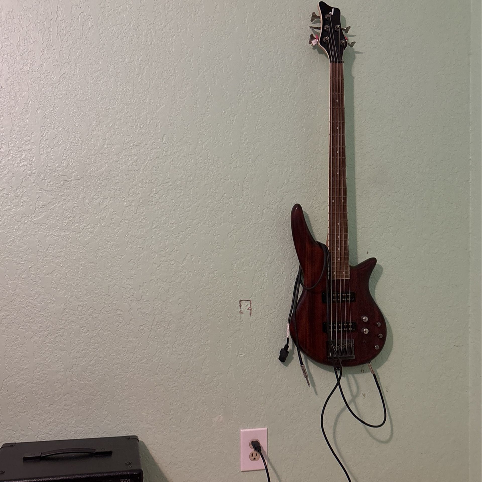 5 String Bass & AMP