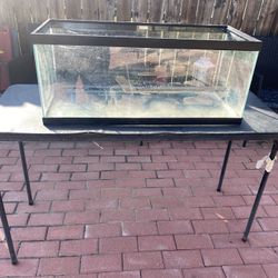  20 ‘’  Aquarium