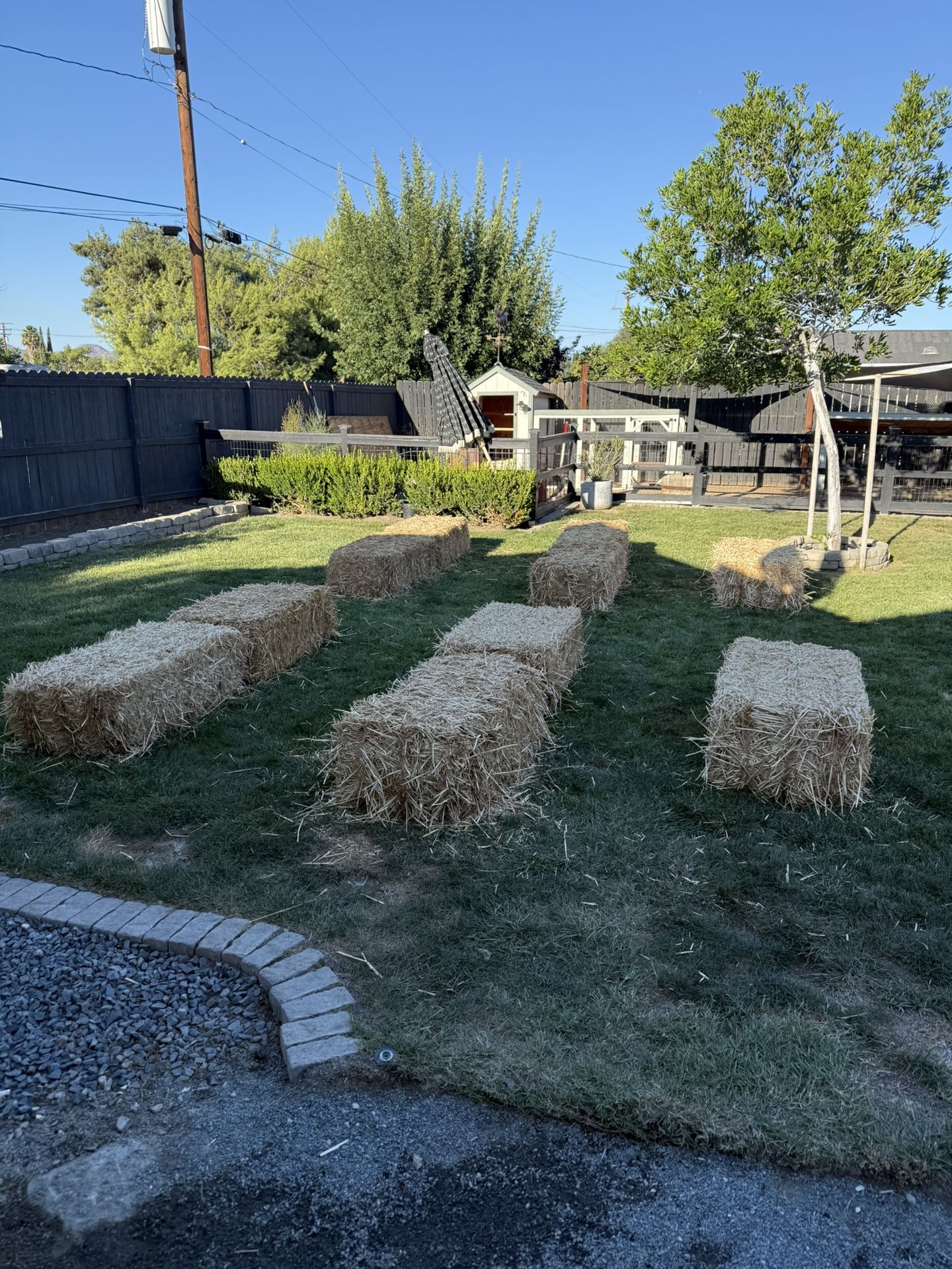 Free Hay Barrels