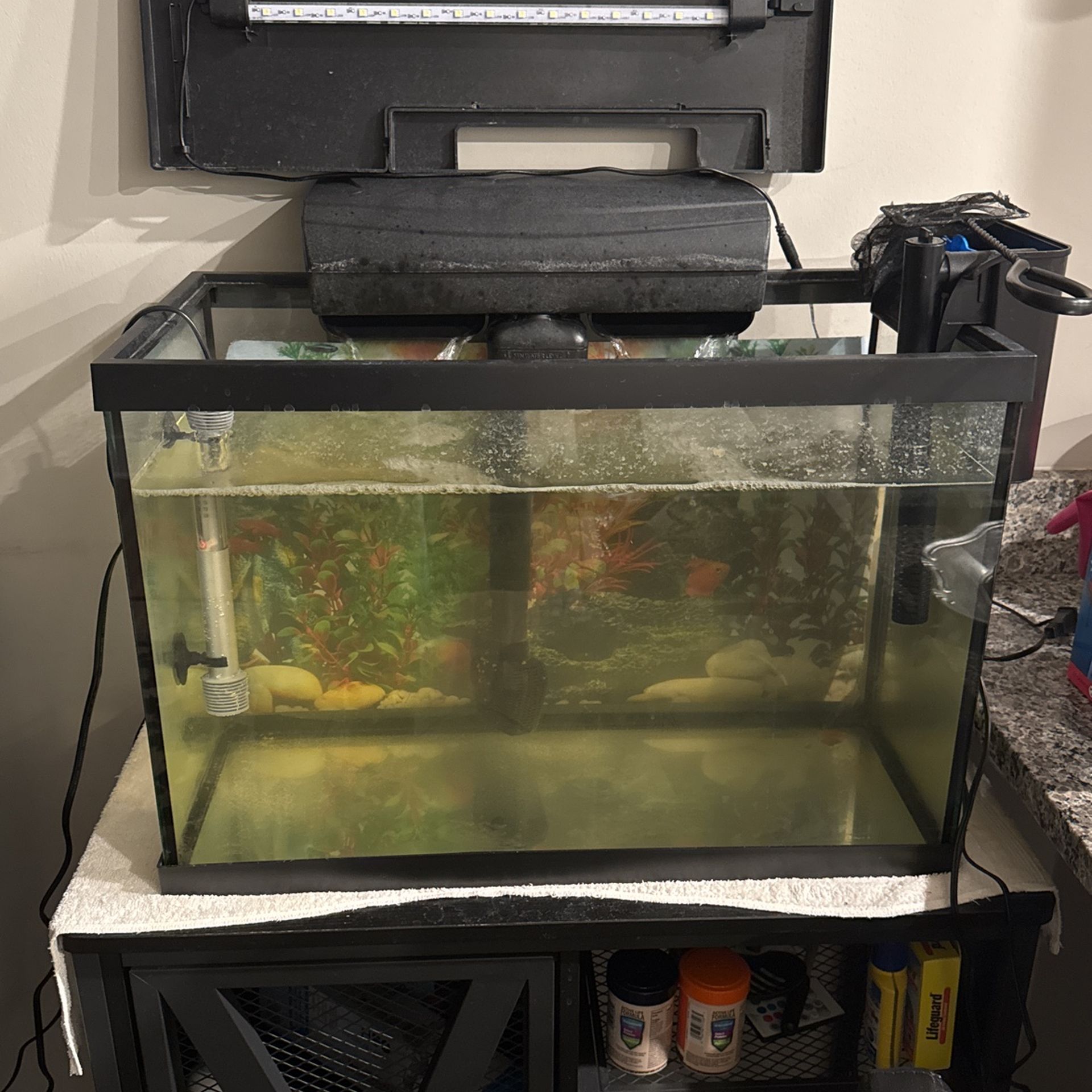 30 Gallon Fish Tank