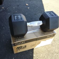 40lb Rubber Hex Dumbbells