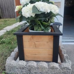 Customized Wood Plant Boxes
