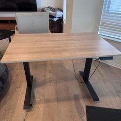 Electric Standing Desk 