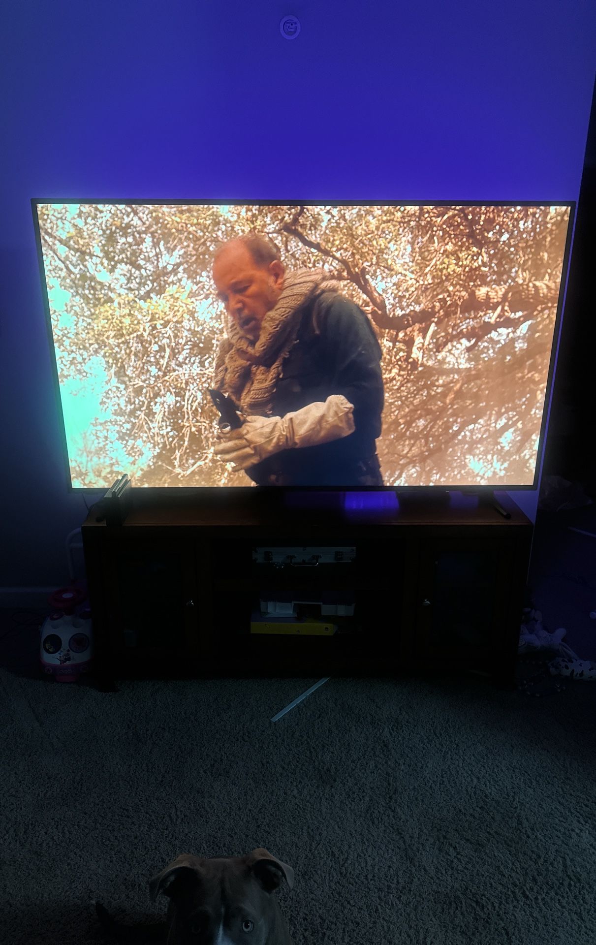 75 Inch Insignia Tv And Or Tv Stand 