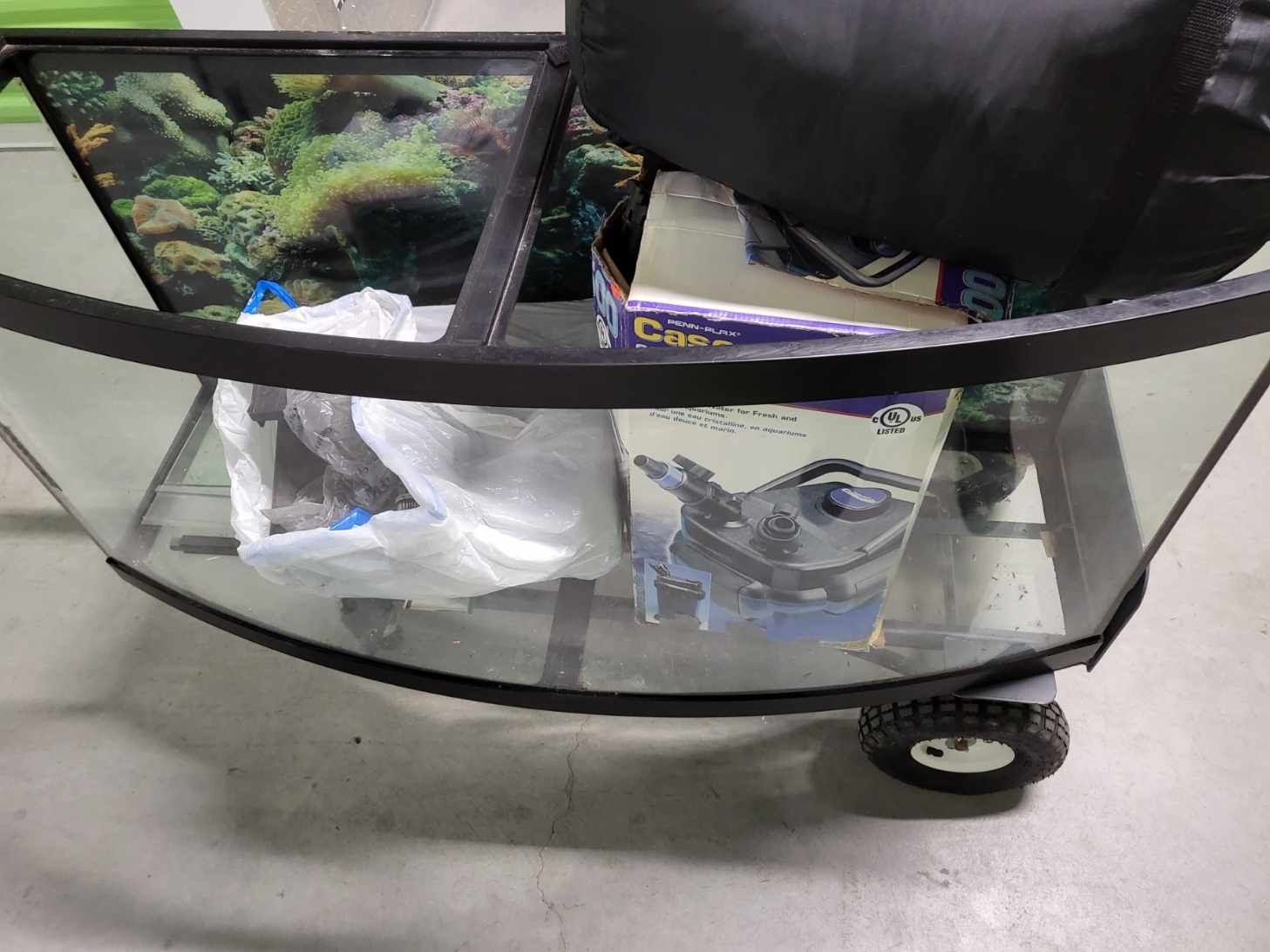 Bowl Front Fish Tank, Price Negotiable!