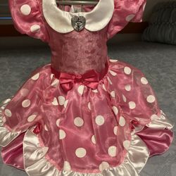 Minnie Dress Size 2