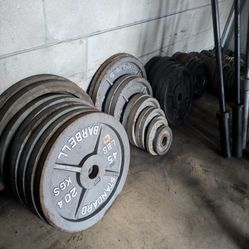 Olympic Plates, Barbells, Benches, Racks, Dumbbells, And More!