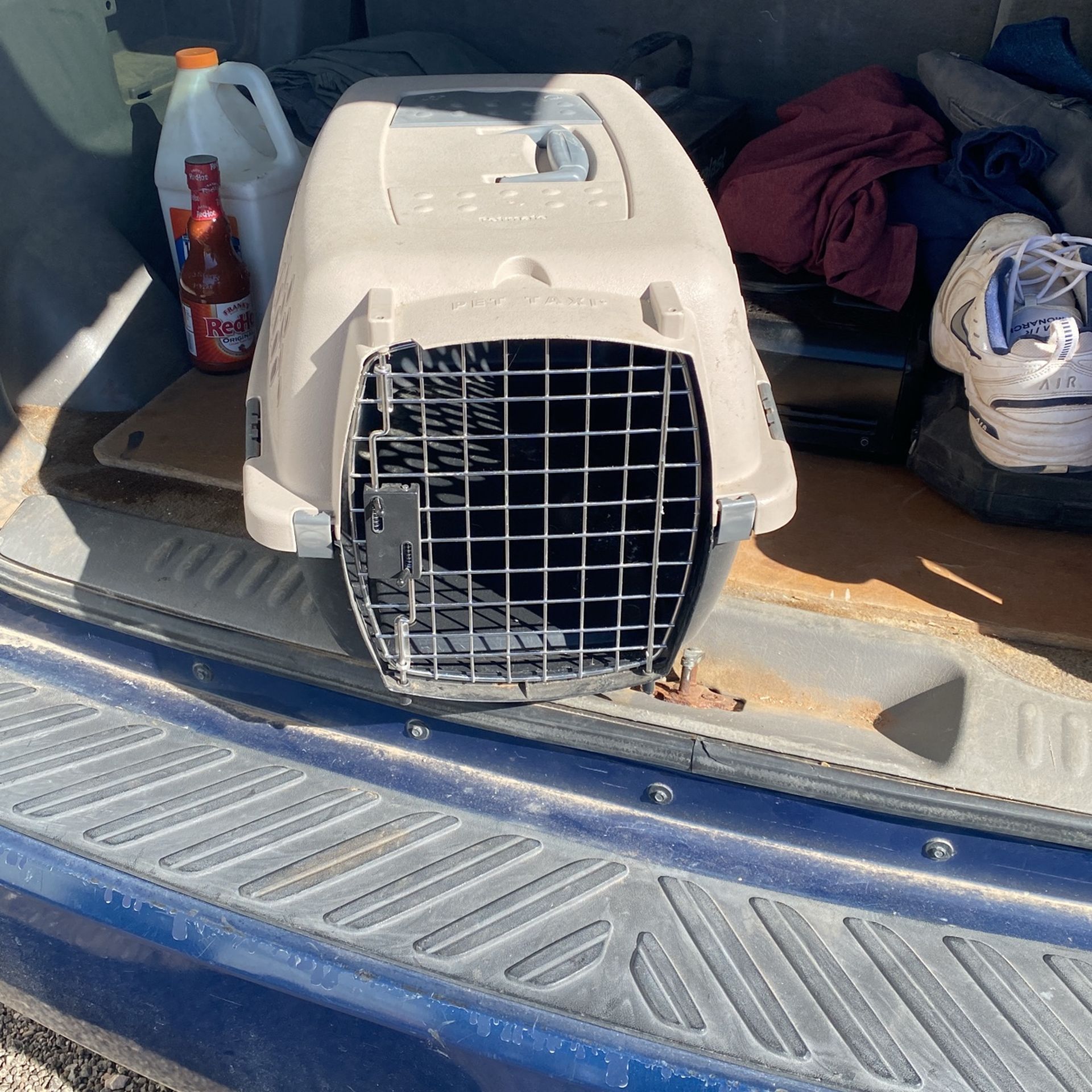 For Small dog or cat