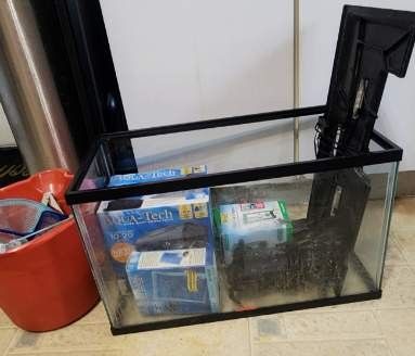Glass Aquarium Kit 10 Gallon Fish Tank, 20" L X 10 " W X 12" H Fish Tank & Everything Else For It. 