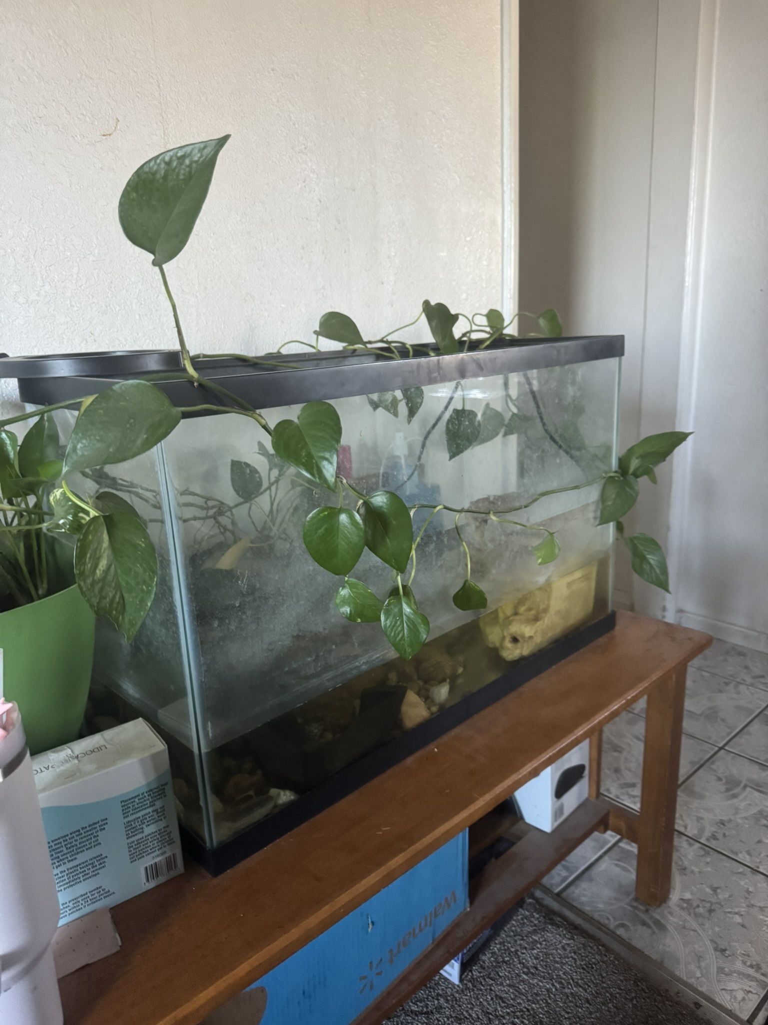 10 Gallon Tank And Filter For Fish Or Turtles