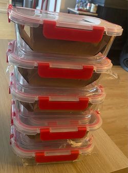 Glass Food Storage Containers with Locking Lids – Set of 10