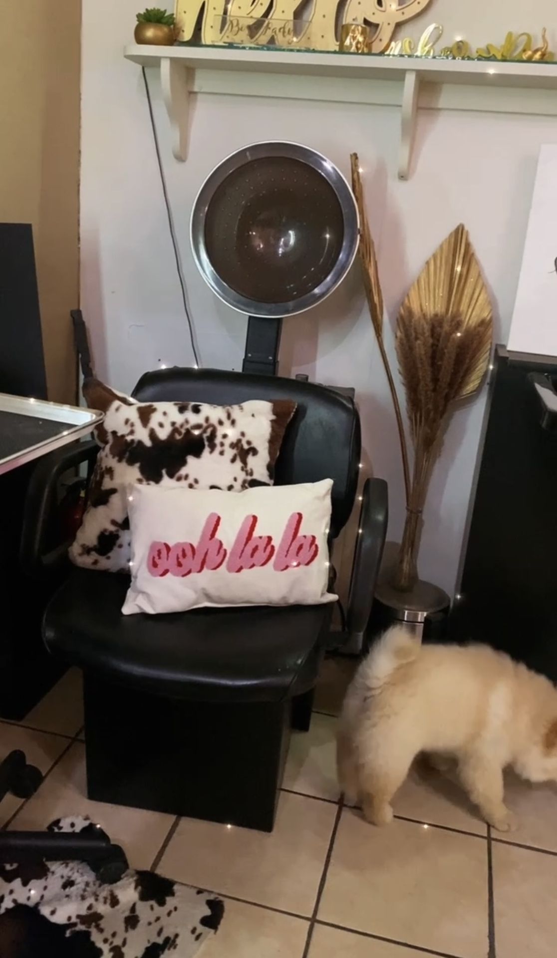 Comfort Aire Collins Hairdryer Chair