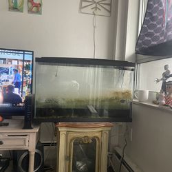 35 Gallon Fish Tank (aquarium) For Sale