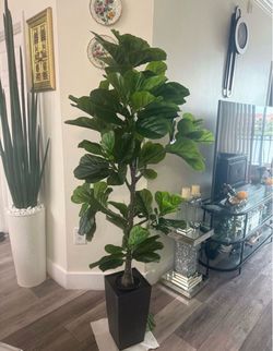 Pretty artificial plant fig tree 6 ft tall with planter ! Brand New
