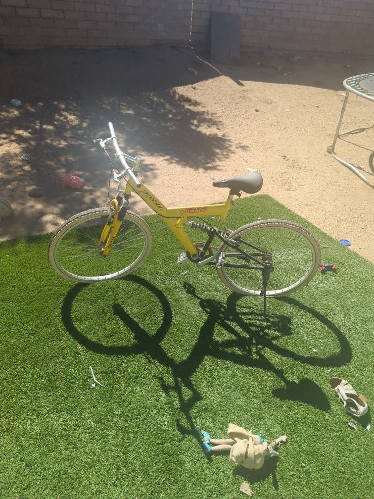 Iron Horse 6.1 And Giant Pioneer Bike