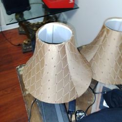 2 Lamp Shade