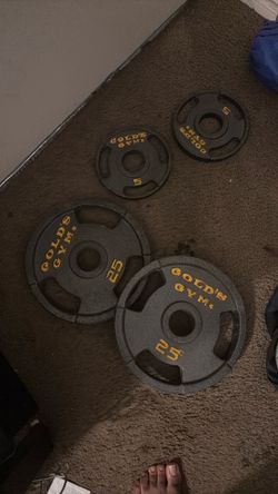 Golds gym iron plates 65obo