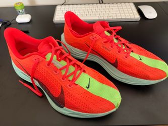 Nike Peagasus Plus (Size 12)
