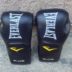 Everlast Boxing Gloves 