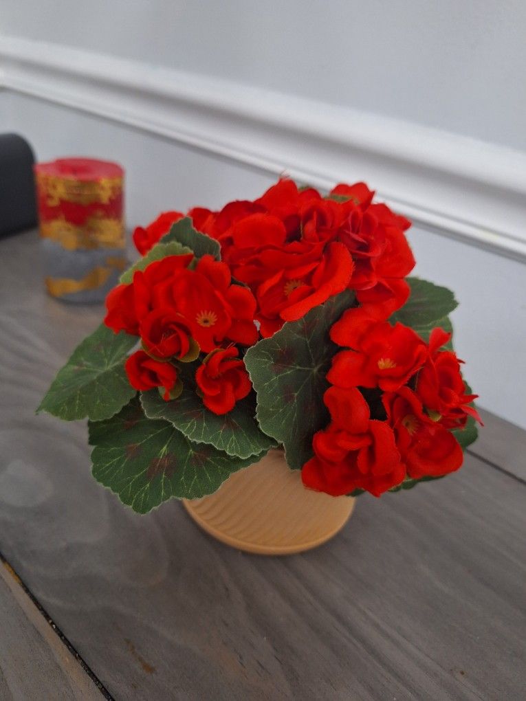 Handmade flower arrangement in cement planter