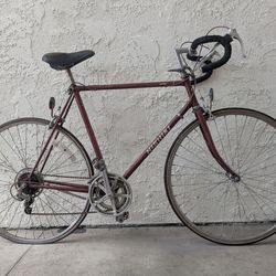 Nishiki road bike
