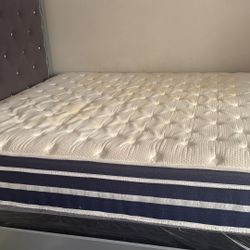 Bedroom  Set