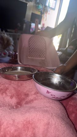 Kitty Essentials