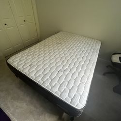 Lady Americana Brand Mattress