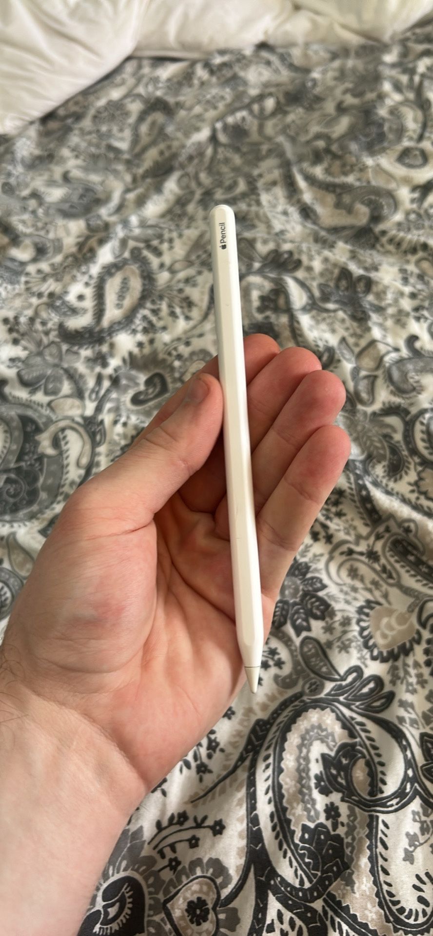 Apple Pencil 2 Used Twice